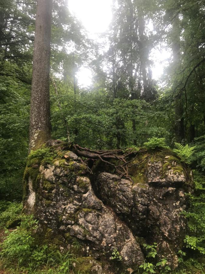 Ferienwohnung Morgentau Am Rande Der Wildnis Sibratsgfäll Exterior foto