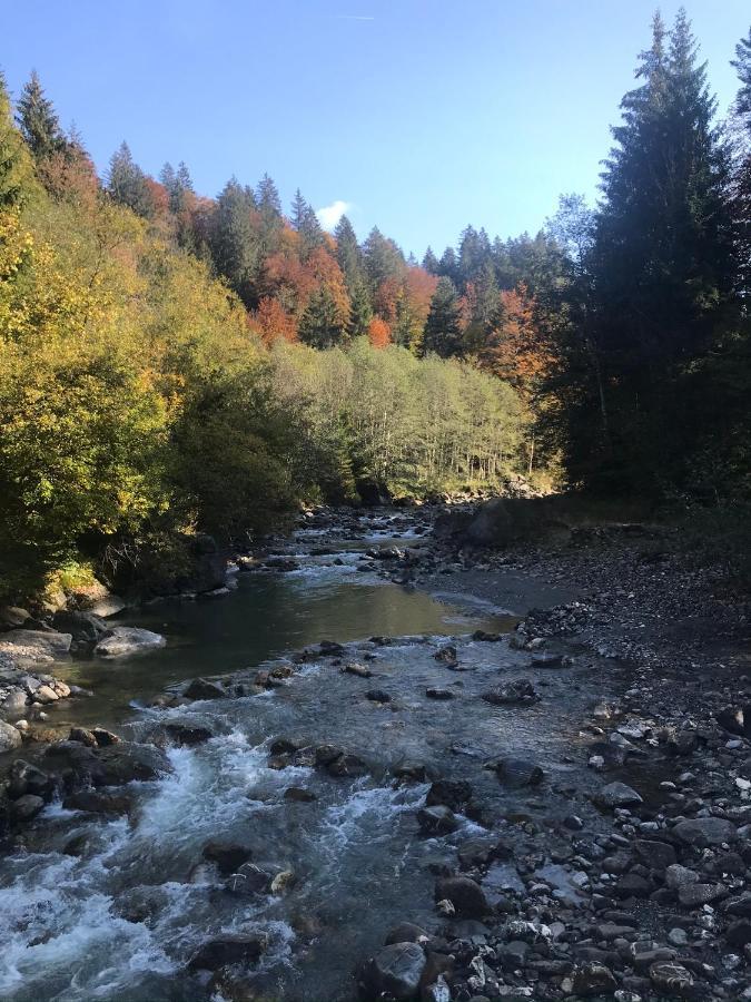 Ferienwohnung Morgentau Am Rande Der Wildnis Sibratsgfäll Exterior foto
